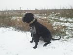     
: 2012-12-21 15.14.36.jpg
: 7
:	100.2 
ID:	5426852
