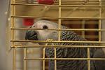    
: DSC_2383.jpg
: 19
:	93.4 
ID:	5428049