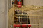    
: DSC_2382.jpg
: 14
:	110.8 
ID:	5428050