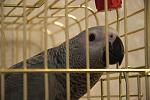     
: DSC_2380.jpg
: 19
:	89.1 
ID:	5428052