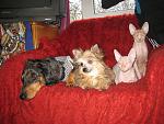     
: IMG_3950.jpg
: 7
:	170.5 
ID:	5428090