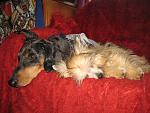     
: IMG_3958.jpg
: 4
:	159.6 
ID:	5428093
