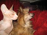     
: IMG_3936.jpg
: 22
:	119.0 
ID:	5428141