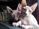     
: IMG_3922.jpg
: 17
:	121.0 
ID:	5428142