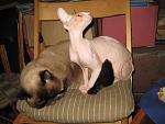     
: IMG_3926.jpg
: 20
:	117.7 
ID:	5428143