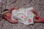    
: IMG_1847.jpg
: 18
:	126.3 
ID:	5428544