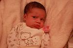     
: IMG_2124.jpg
: 18
:	90.2 
ID:	5428560