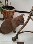     
: IMG_0217.JPG
: 7
:	230.6 
ID:	5430335
