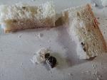     
: 20121225_110700.jpg
: 28
:	220.7 
ID:	5431984