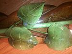     
: 2012-12-25 11.36.59.jpg
: 9
:	158.1 
ID:	5432101
