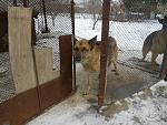    
: DSCN0107.jpg
: 16
:	202.1 
ID:	5435340