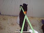    
: DSC02012.jpg
: 7
:	91.1 
ID:	5436130