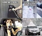     
: aaaaaaaaaaaa.jpg
: 5
:	79.6 
ID:	5437757