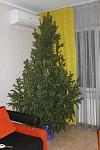     
: IMG_6915.jpg
: 46
:	103.0 
ID:	5445010
