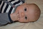     
: DSC_0070.jpg
: 5
:	94.2 
ID:	5446112