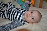     
: DSC_0035.jpg
: 6
:	110.2 
ID:	5446123