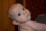     
: DSC_0008.jpg
: 6
:	56.0 
ID:	5446124