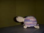     
: DSCN3606.jpg
: 5
:	59.6 
ID:	5447321
