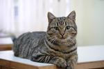     
: DSC00942.jpg
: 3
:	57.1 
ID:	5448521