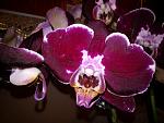     
: WP_000510.jpg
: 5
:	129.6 
ID:	5448872