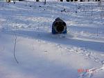    
: DSC00153.jpg
: 6
:	115.2 
ID:	5449393