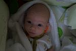    
: DSC00365.jpg
: 22
:	69.4 
ID:	5449950