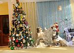     
: DSC_5647.jpg
: 13
:	266.6 
ID:	5451071