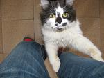     
: IMG_0579.jpg
: 38
:	125.1 
ID:	545285