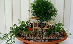     
: 89471372_large_1342553929_011.jpg
: 2
:	221.3 
ID:	5455264