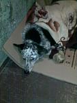     
: 301220121266.jpg
: 51
:	71.9 
ID:	5455292