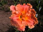     
: S73F5407.jpg
: 64
:	21.4 
ID:	5456450