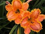     
: S73F3951.jpg
: 127
:	51.7 
ID:	5456458