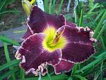     
: CIMG0131.jpg
: 131
:	88.1 
ID:	5456459