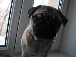     
: IMG_2430.jpg
: 14
:	79.5 
ID:	5457016