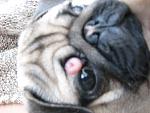     
: IMG_2428.jpg
: 7
:	93.3 
ID:	5457019