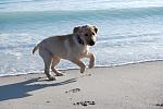     
: DSC_9426.jpg
: 2
:	134.1 
ID:	5458456