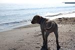     
: DSC_9428.jpg
: 2
:	226.1 
ID:	5458458