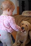     
: DSC_9389.jpg
: 7
:	63.2 
ID:	5458464