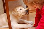     
: DSC_9383.jpg
: 7
:	89.2 
ID:	5458466