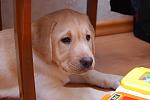     
: DSC_9380.jpg
: 5
:	79.2 
ID:	5458468