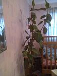     
: 02012013840.jpg
: 7
:	61.5 
ID:	5459008