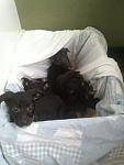     
: IMG200.jpg
: 9
:	56.8 
ID:	5461051