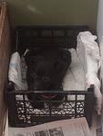     
: IMG198.jpg
: 10
:	57.0 
ID:	5461052