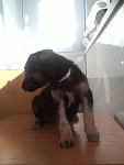     
: IMG180.jpg
: 8
:	48.1 
ID:	5461053