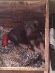     
: IMG195.jpg
: 10
:	78.7 
ID:	5461056