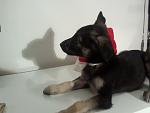     
: IMG199 (2).jpg
: 3
:	74.8 
ID:	5461060