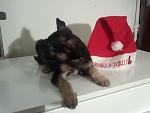     
: IMG206.jpg
: 4
:	80.8 
ID:	5461061