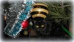     
: SAM_3355.JPG
: 11
:	234.7 
ID:	5462698