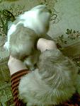     
: 13-01-01 002.jpg
: 8
:	57.6 
ID:	5464597