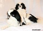     
: 708861464aef.jpg
: 14
:	41.7 
ID:	5465581